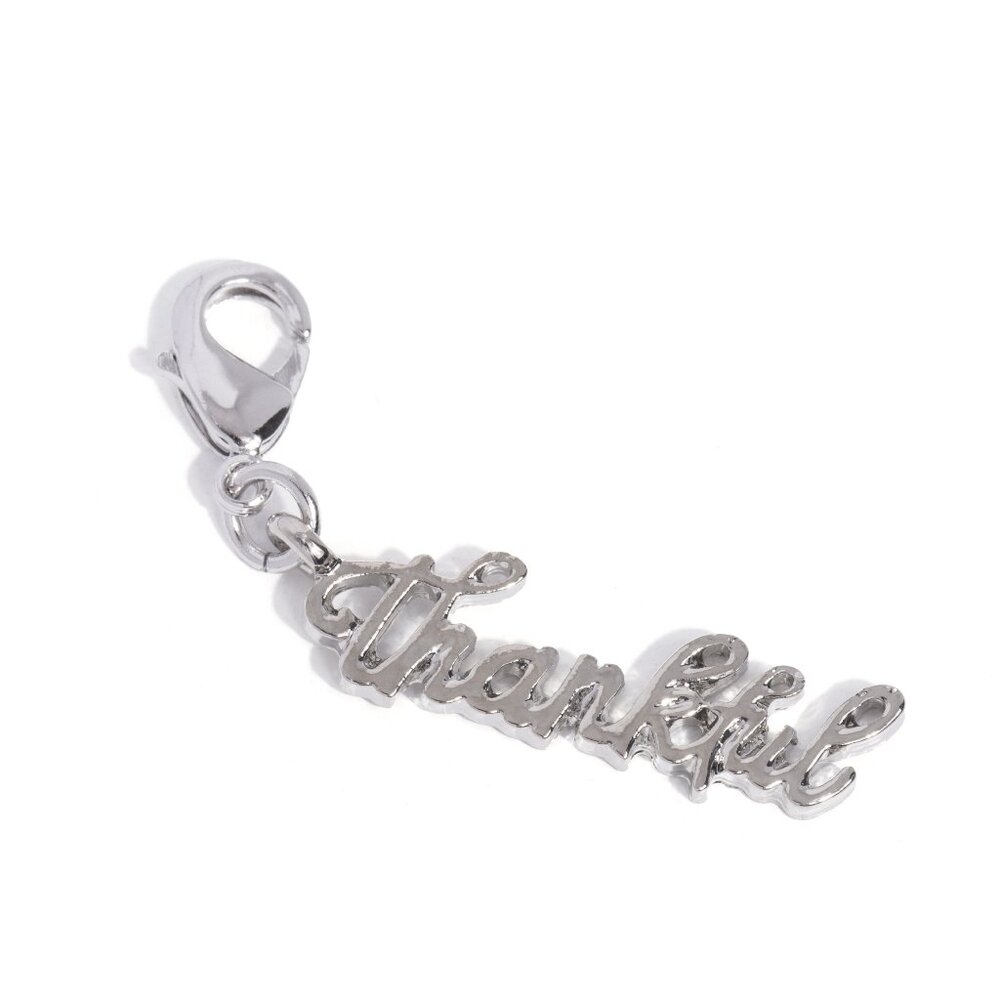 Tastefully Thankful - Silver